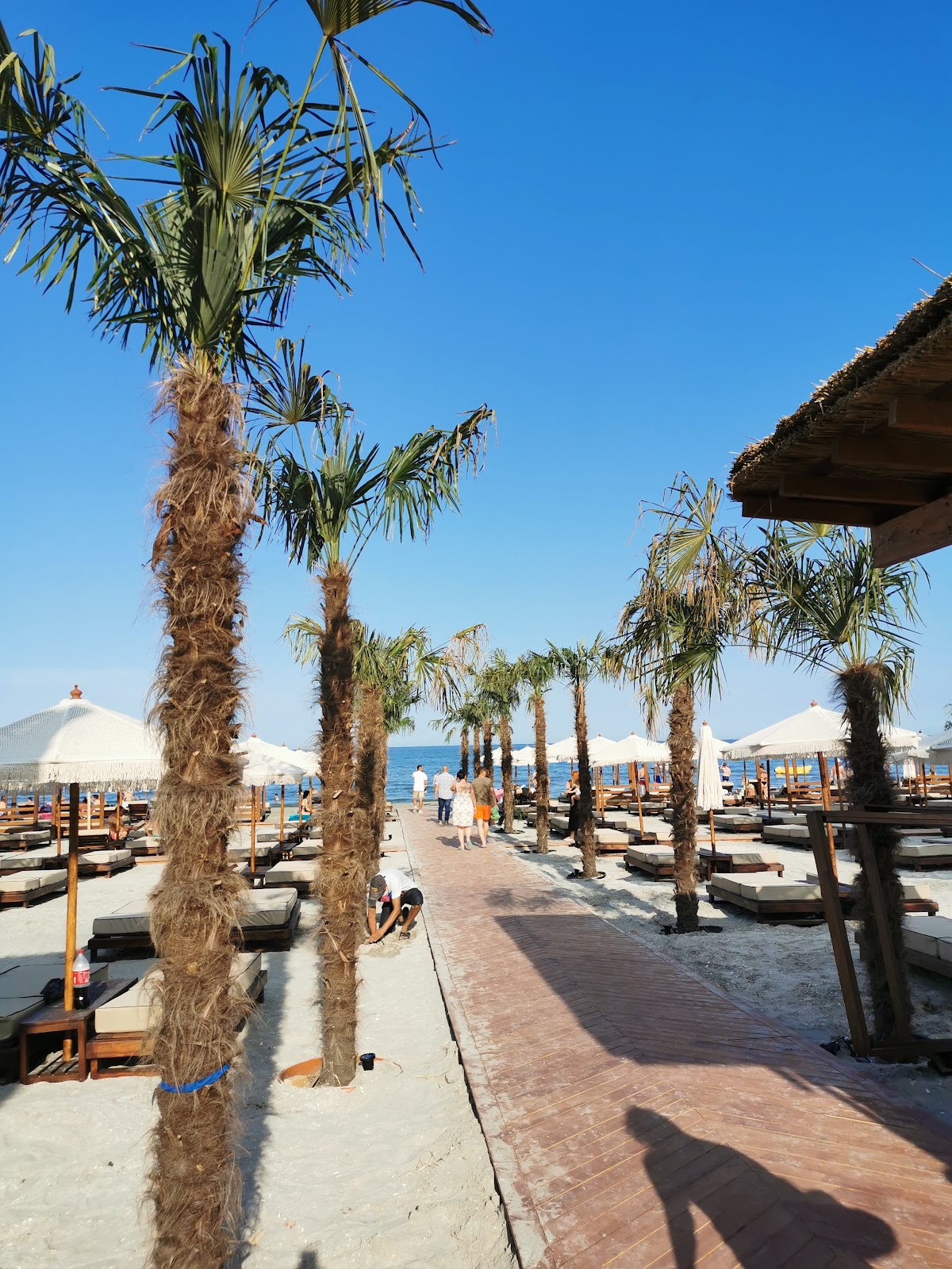 Luxury by the Sea Mamaia Aparthotel